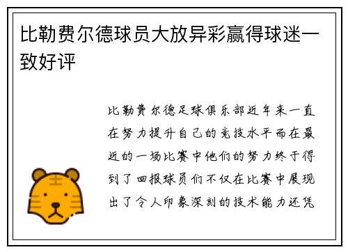 比勒费尔德球员大放异彩赢得球迷一致好评