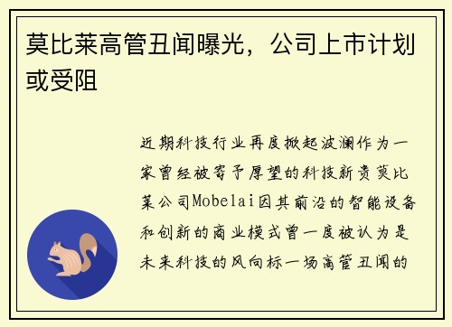 莫比莱高管丑闻曝光，公司上市计划或受阻