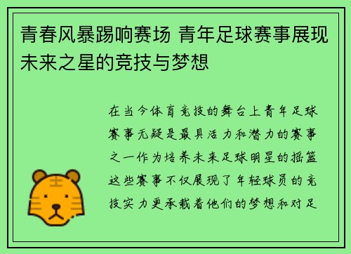 青春风暴踢响赛场 青年足球赛事展现未来之星的竞技与梦想
